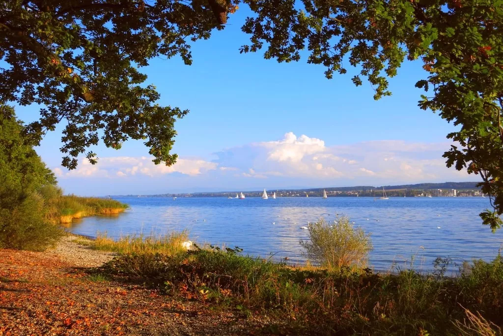 13478-Nicht zugeordnet