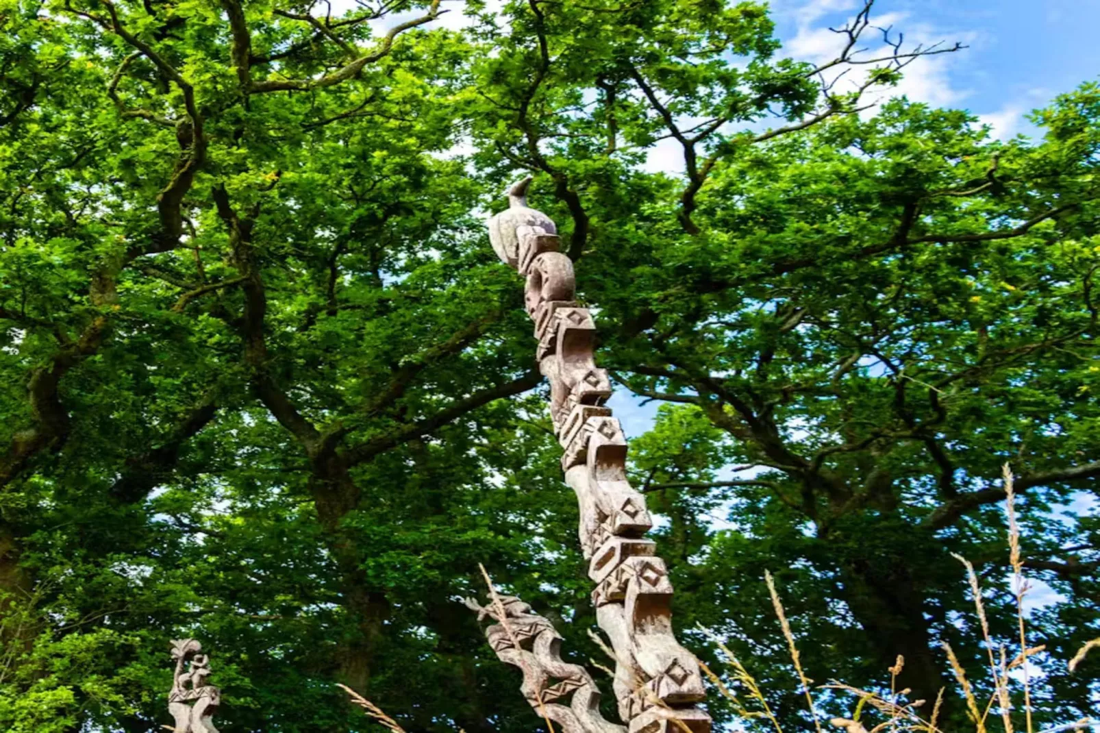 High Cloud Farm & Barn-Areas within 1km in summer