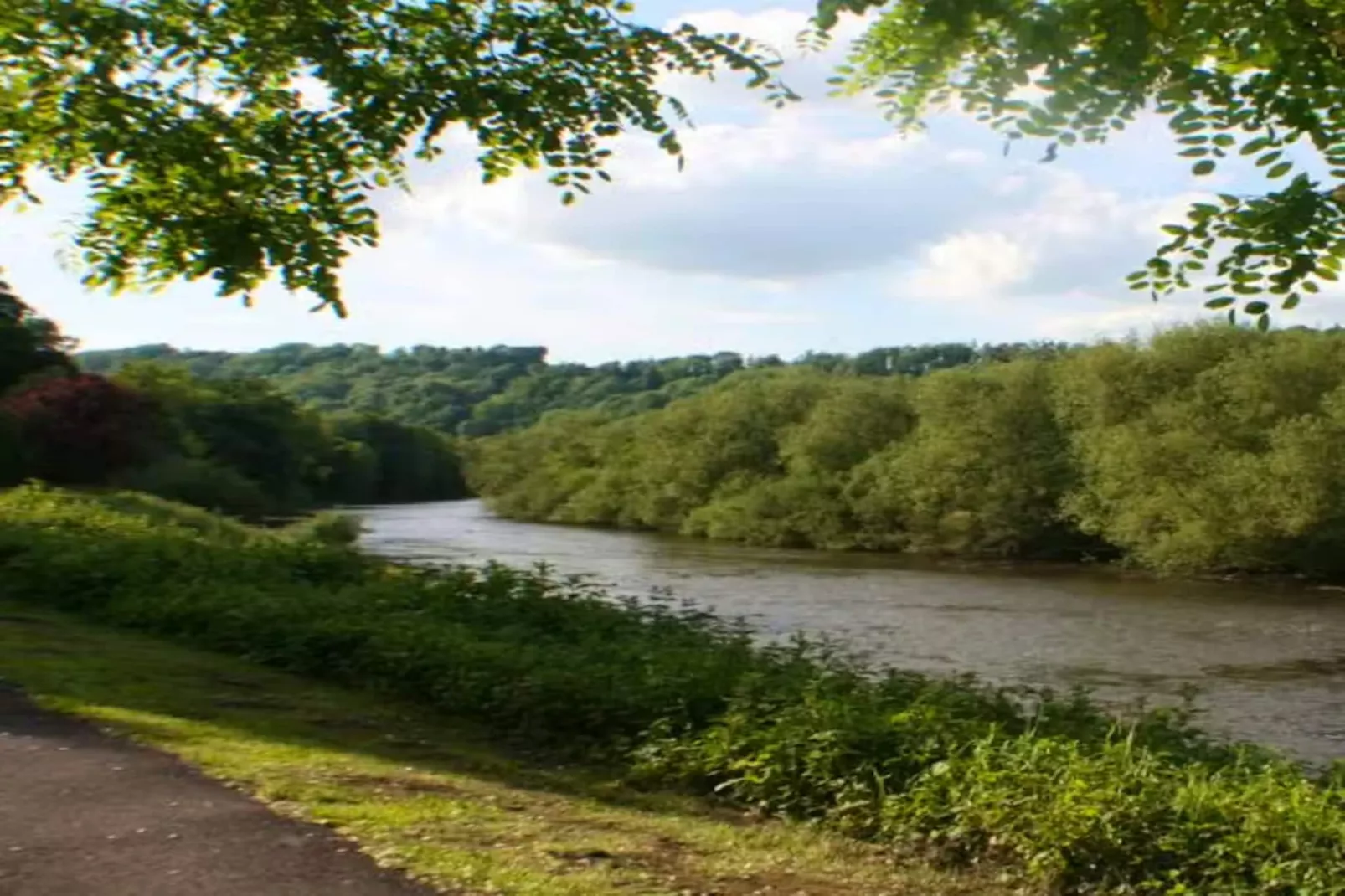 River Wye Lodge-Areas within 1km in summer