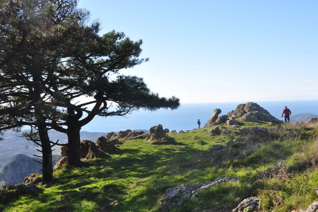 226226-Nicht zugeordnet