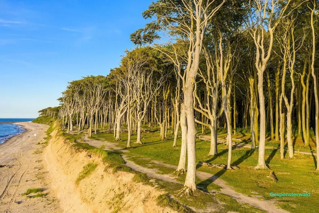 632325-Nicht zugeordnet