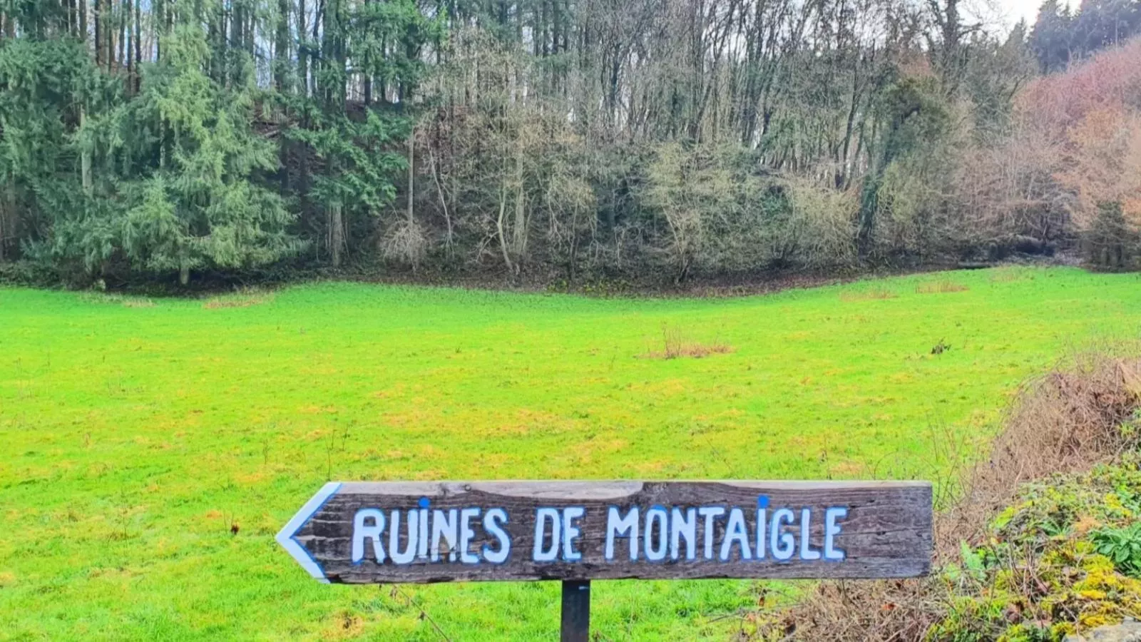 Gite de Montaigle-Zones été à 1 km