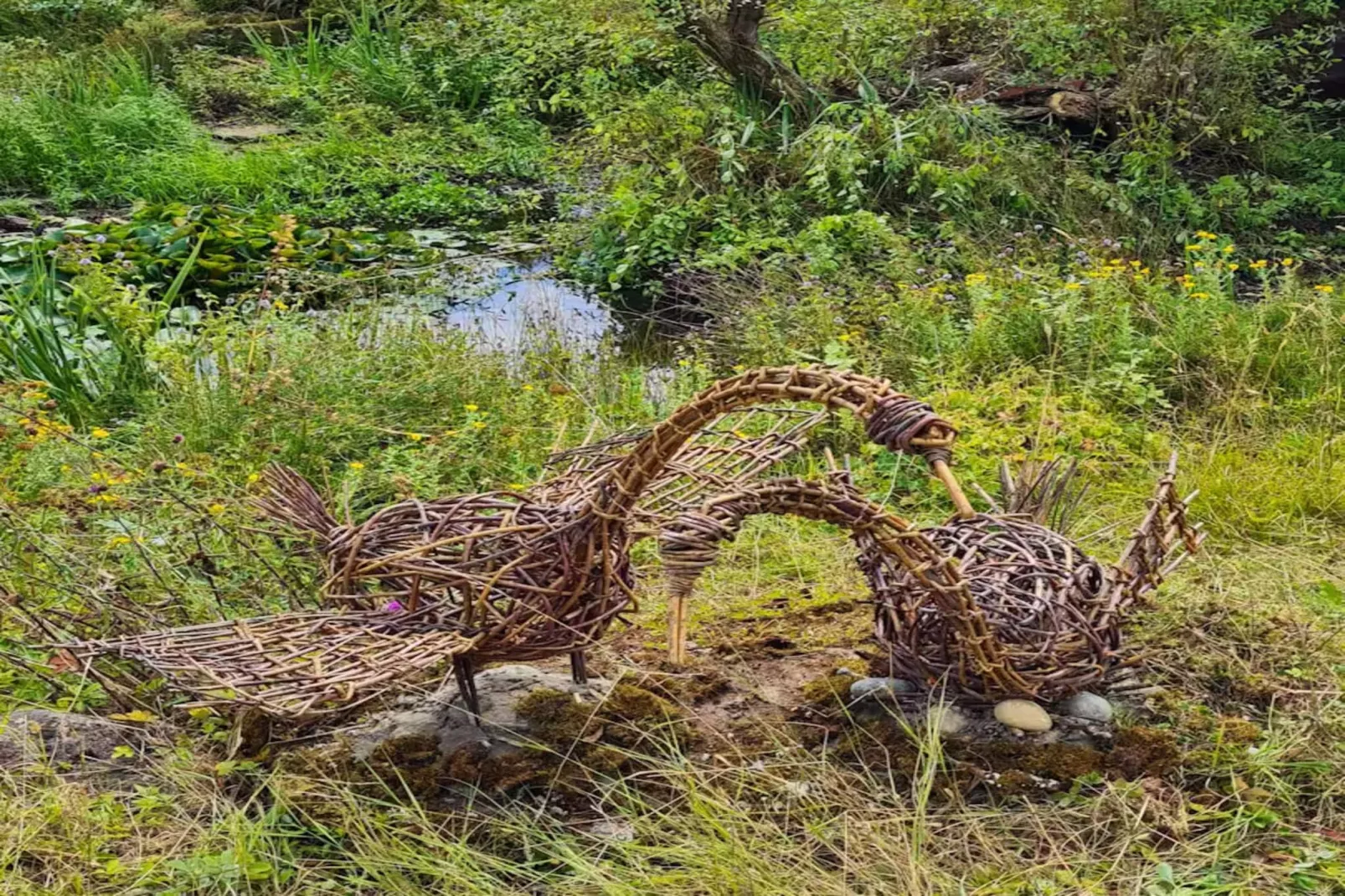 High Cloud Farm & Barn-Ambiance