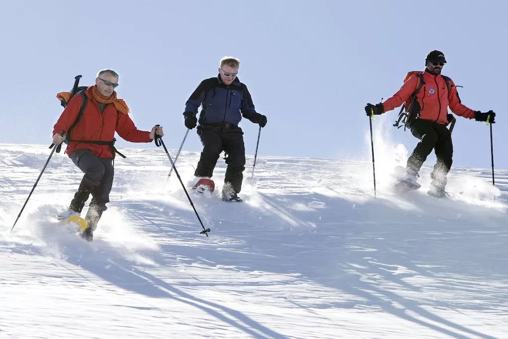 31143-Nicht zugeordnet