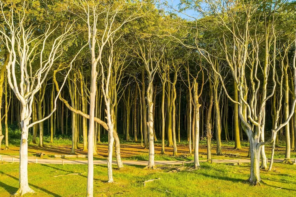 632325-Nicht zugeordnet