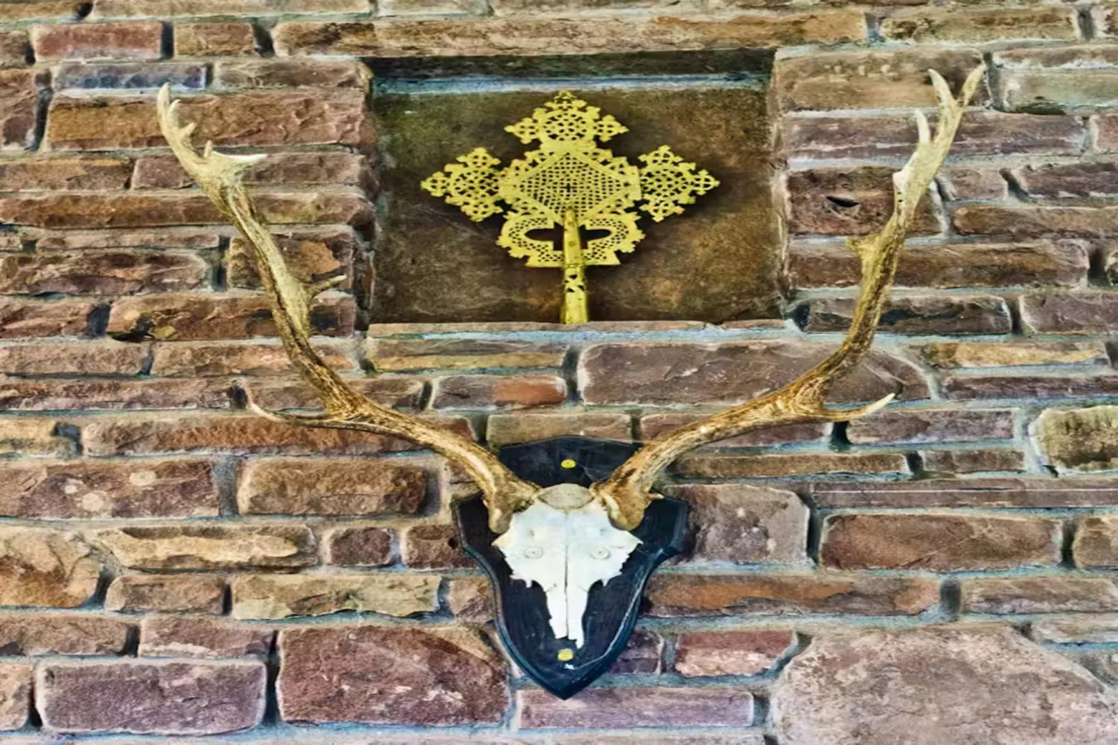 High Cloud Farm & Barn-Ambiance