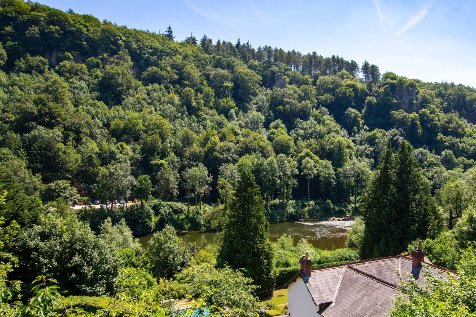 Holly Tree House-View in summer