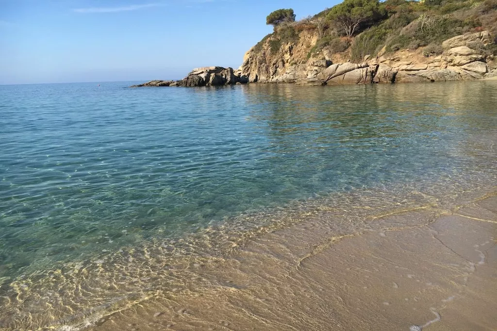 226226-Nicht zugeordnet