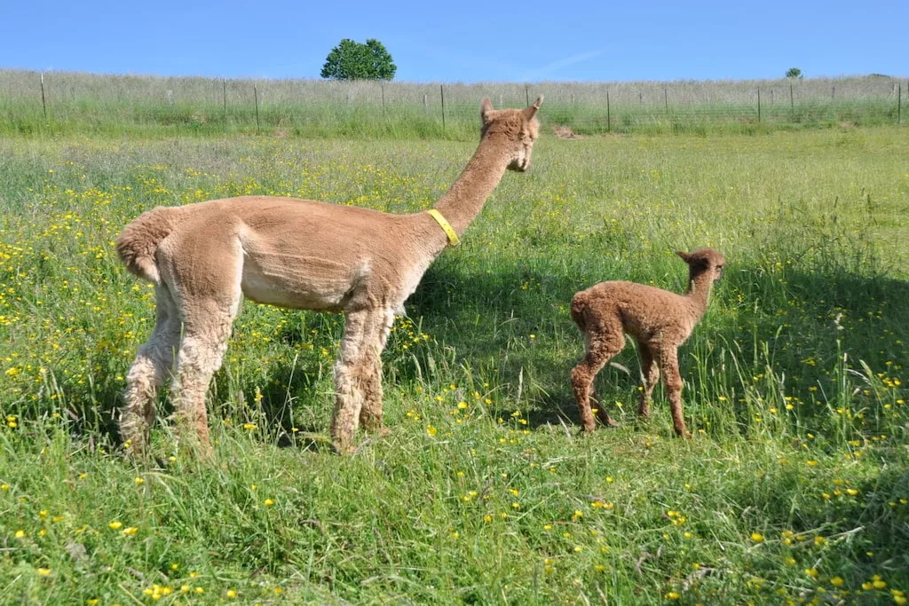 479153-Nicht zugeordnet