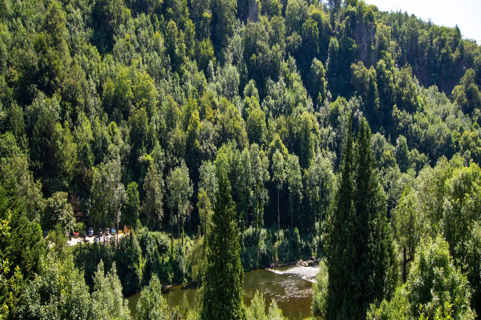 Holly Tree House-View in summer