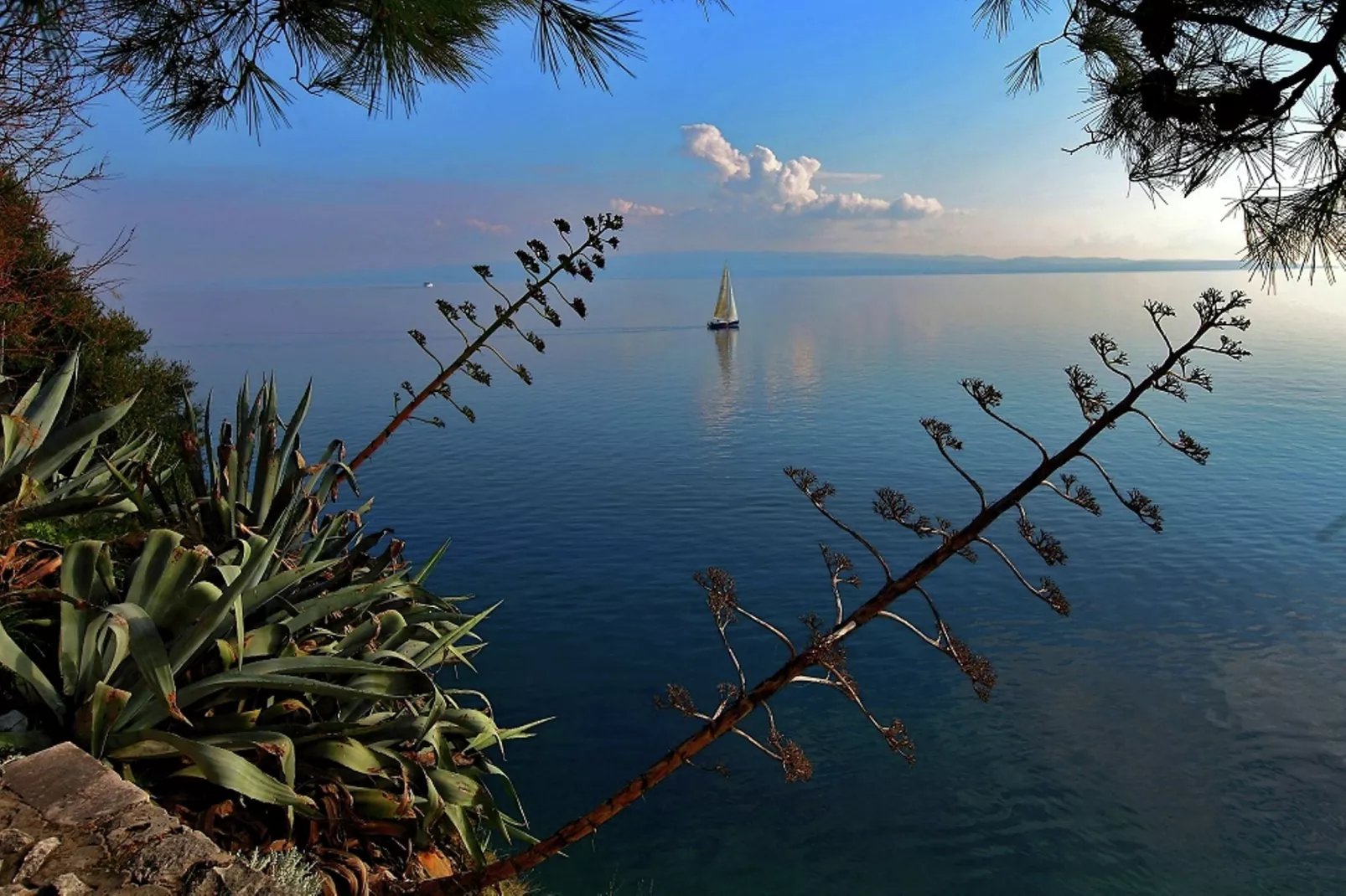 Delux two level garden apartment-Areas within 5km in summer