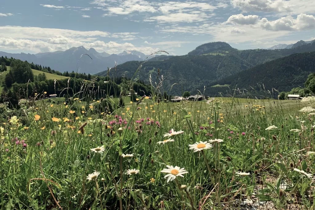 573104-Nicht zugeordnet