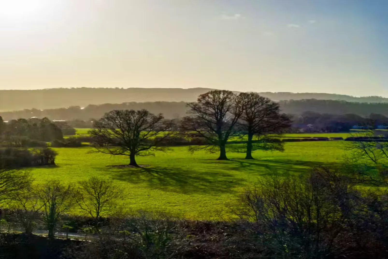 Manor on the Monnow-Areas within 1km in summer