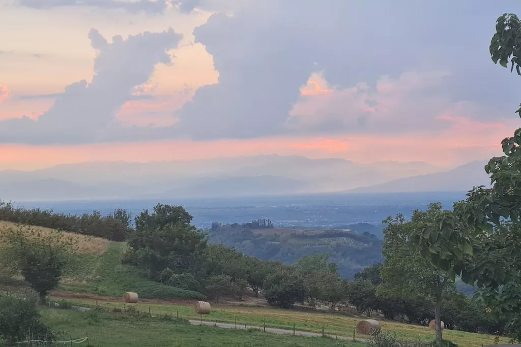 633964-Nicht zugeordnet