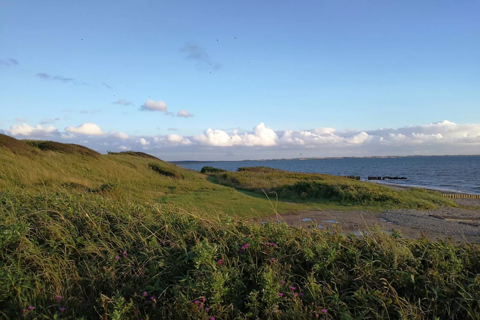 6 person holiday home in Vinderup-Untagged