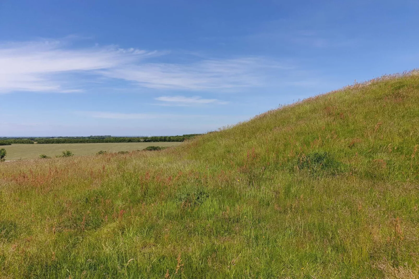 10 Personen Ferienhaus in Ranum