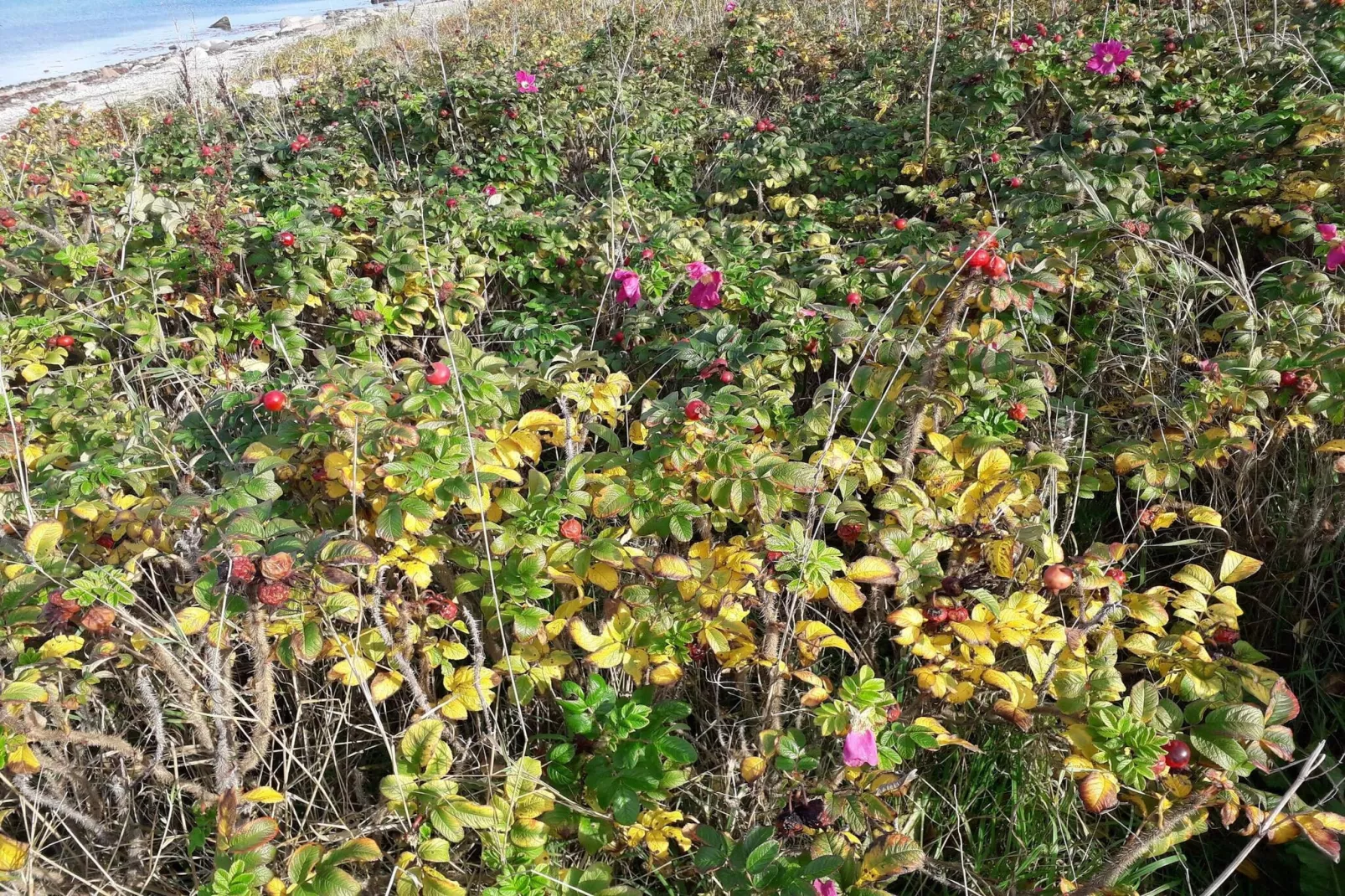 Charming Cottage in Nature - By Traum Ferienwohnungen-Untagged
