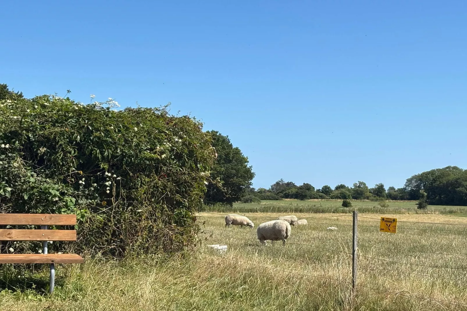 Gemutliches Refugium mit Sauna -- By Traum Ferienwohnungen