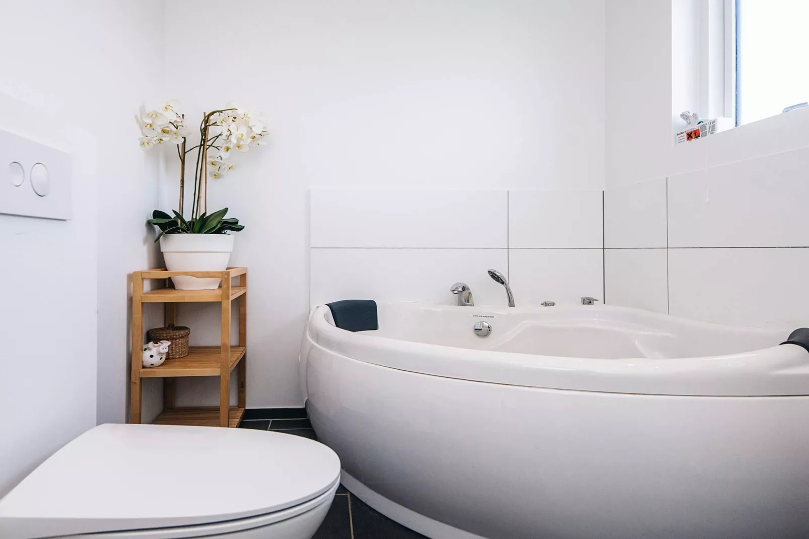 Summer house with wellness area-Spa