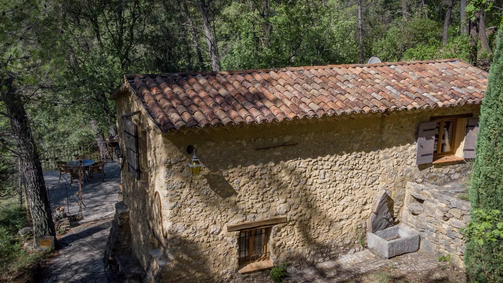 Orchidée-Exterior in summer