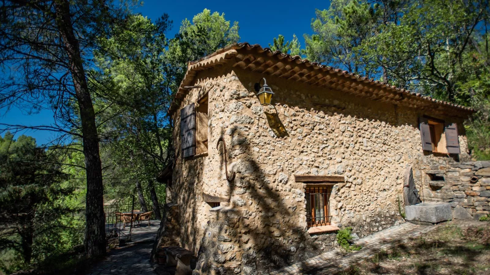 Orchidée-Exterior in summer