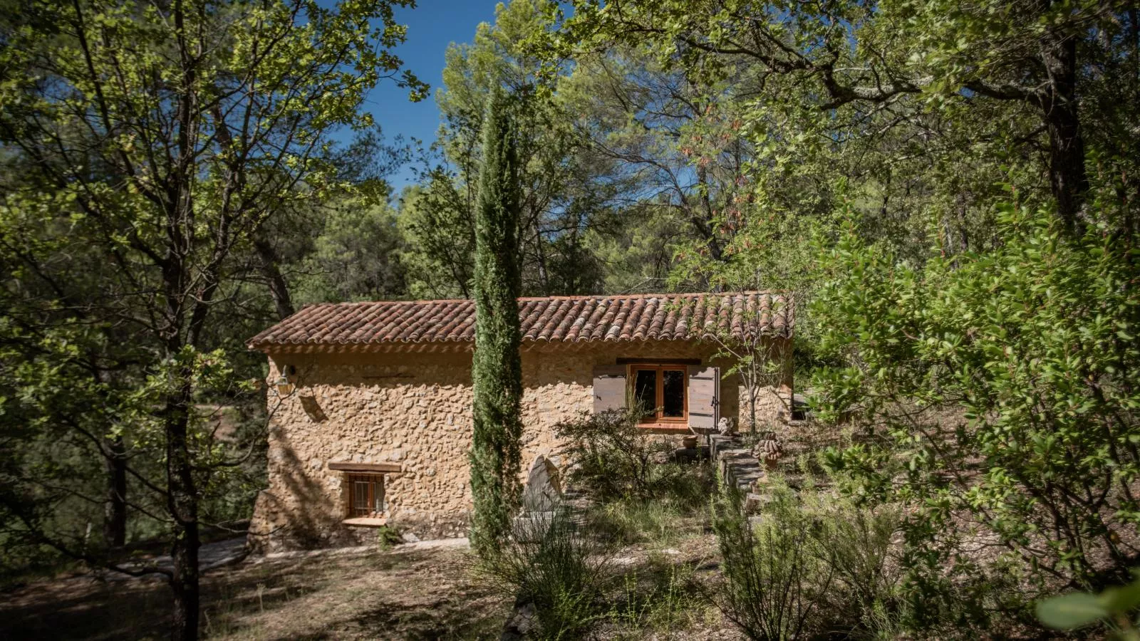 Orchidée-Exterior in summer