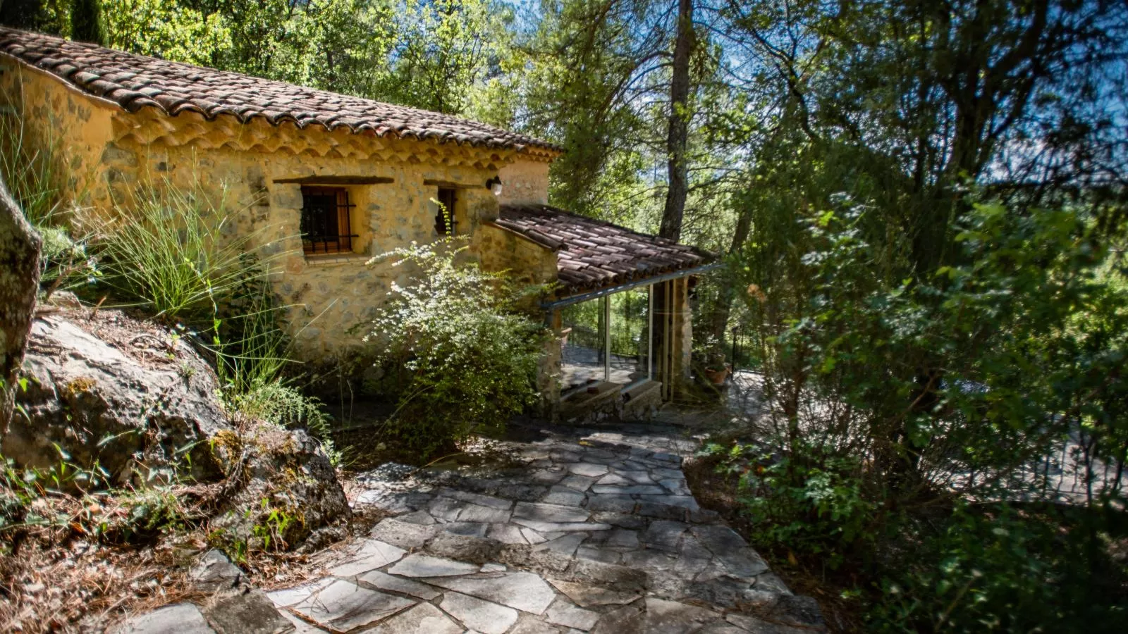 Orchidée-Exterior in summer