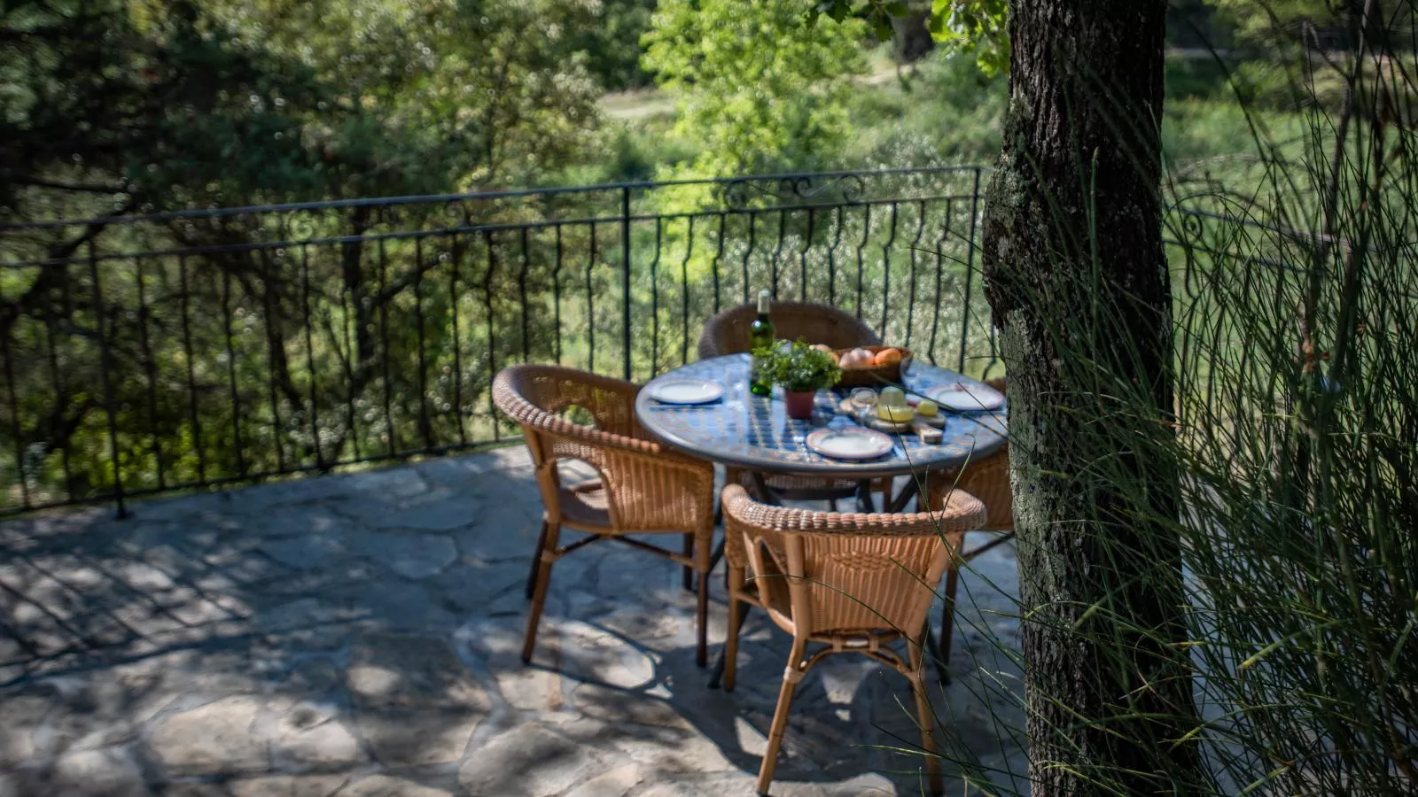 Orchidée-Terrace balcony