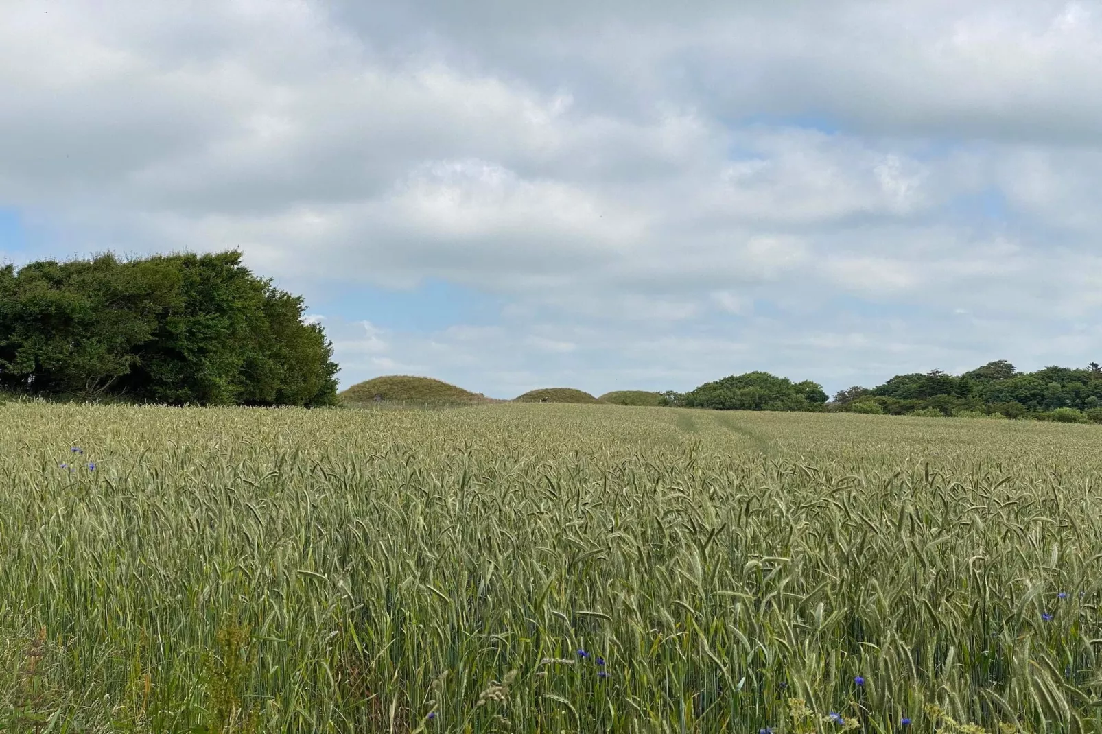 10 Personen Ferienhaus in Ranum