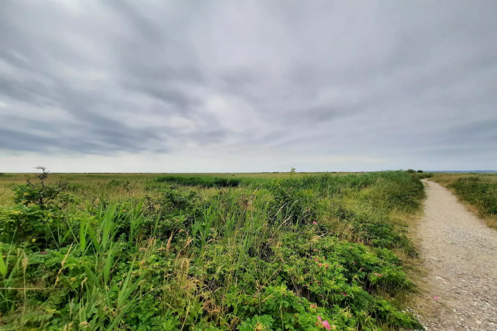 14 person holiday home in Ebeltoft-Untagged