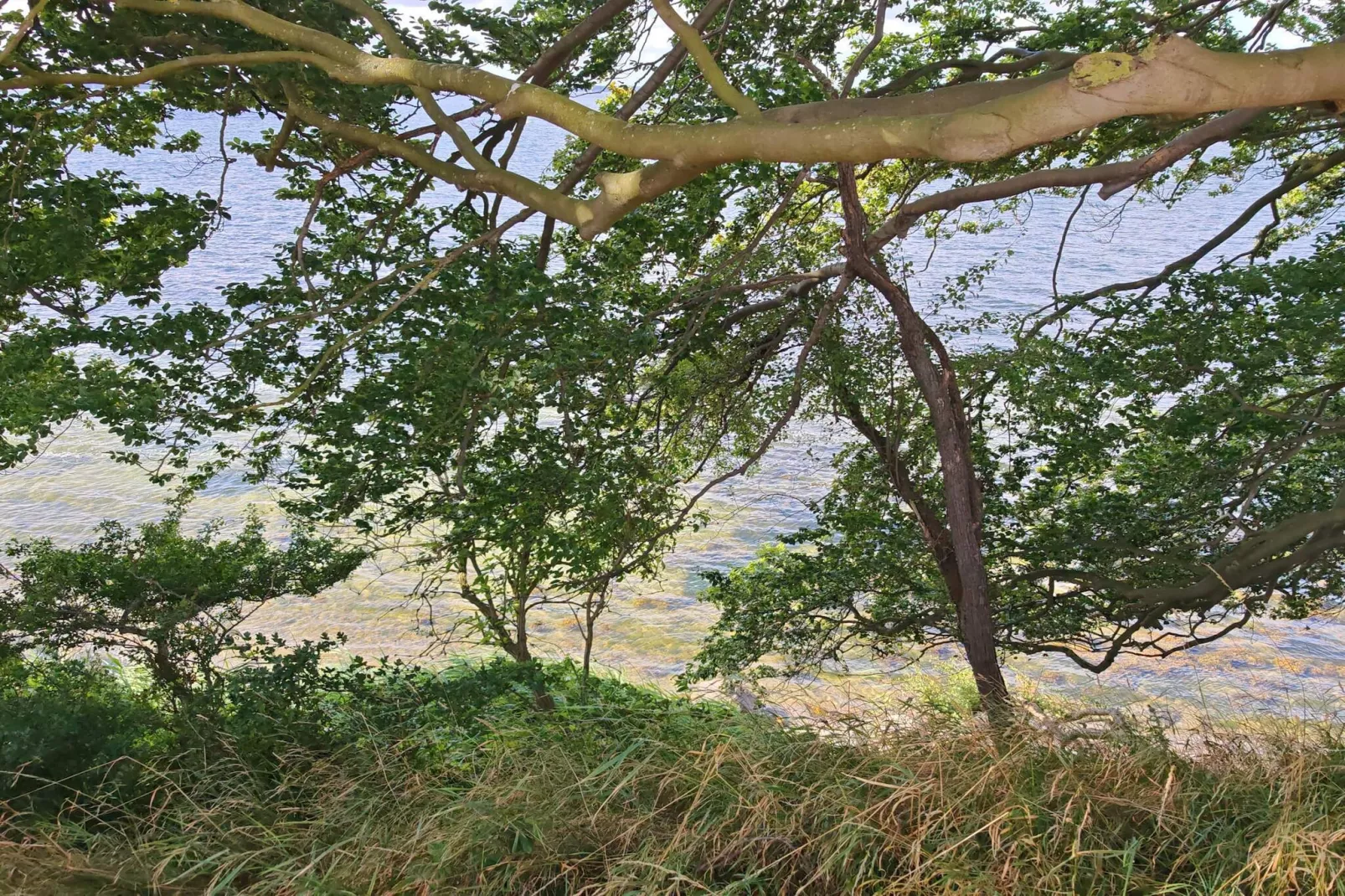 4 person holiday home in Vordingborg-By Traum-Untagged