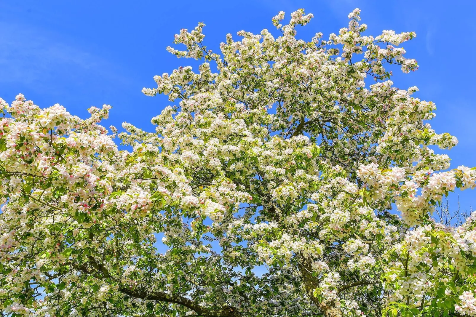 Maison de vacances pour 5 a Sæby-By Traum-Non tagué