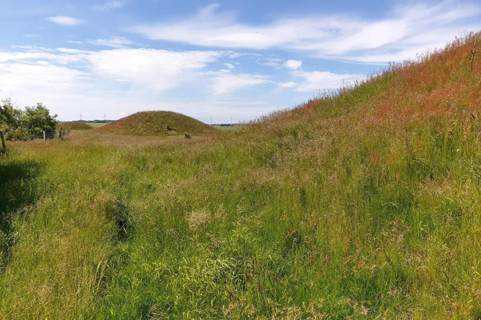 10 Personen Ferienhaus in Ranum
