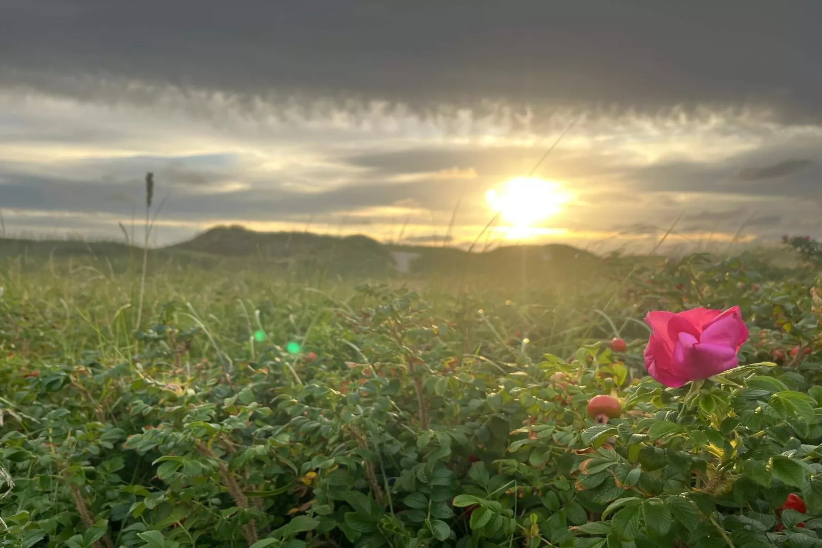Meeresflucht in Ho -- By Traum Ferienwohnungen-Nicht zugeordnet