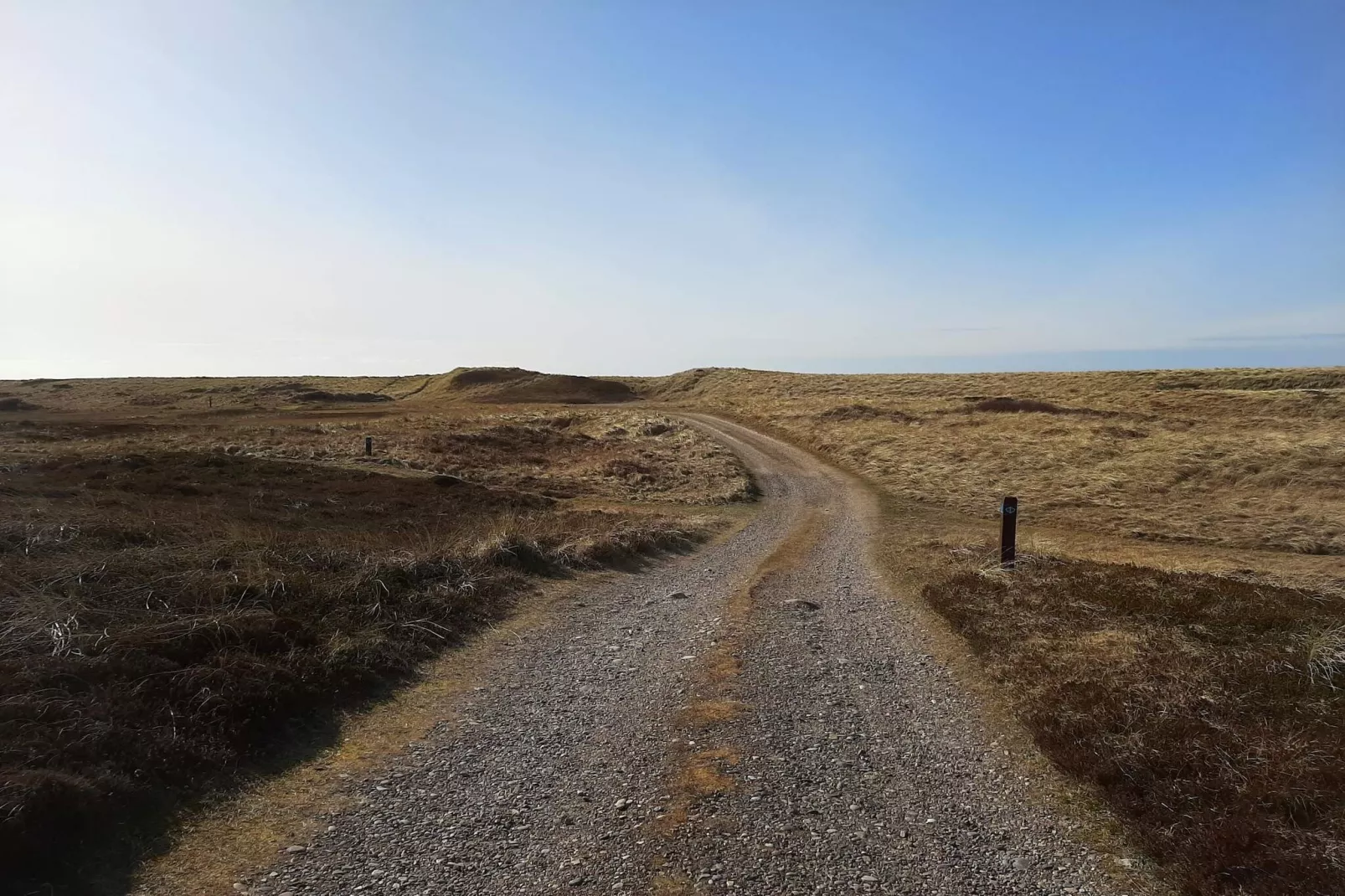 10 person holiday home in Frøstrup-By Traum-Untagged