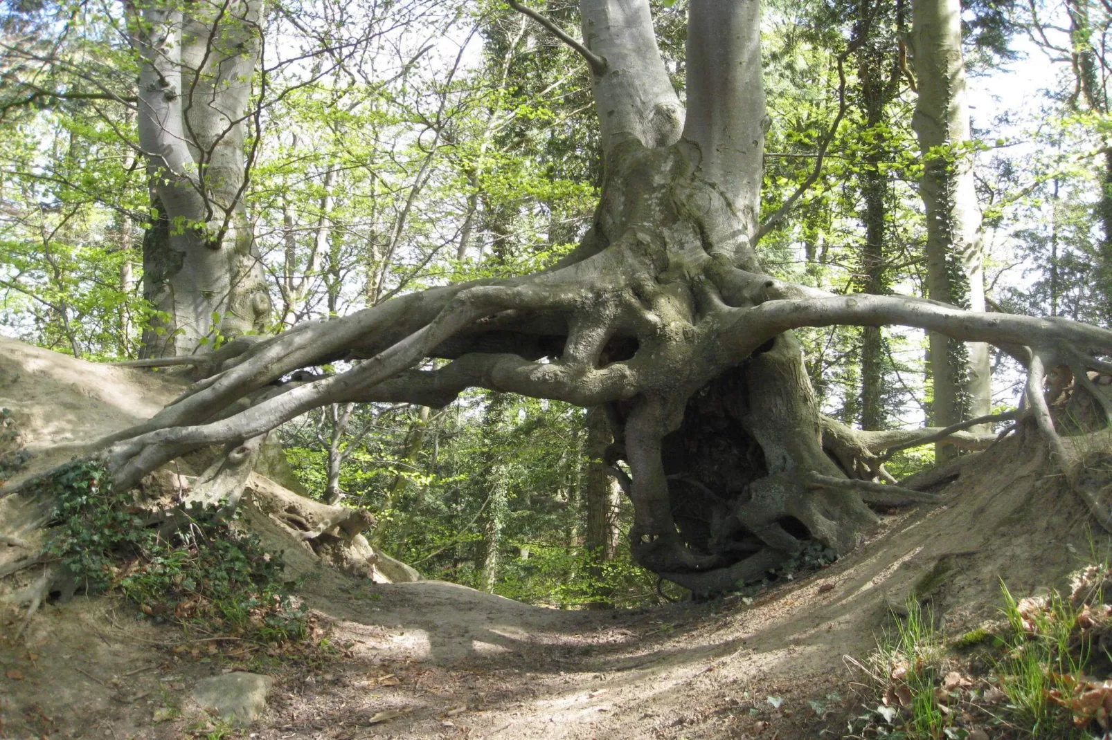 4 person holiday home in Vordingborg-By Traum-Untagged