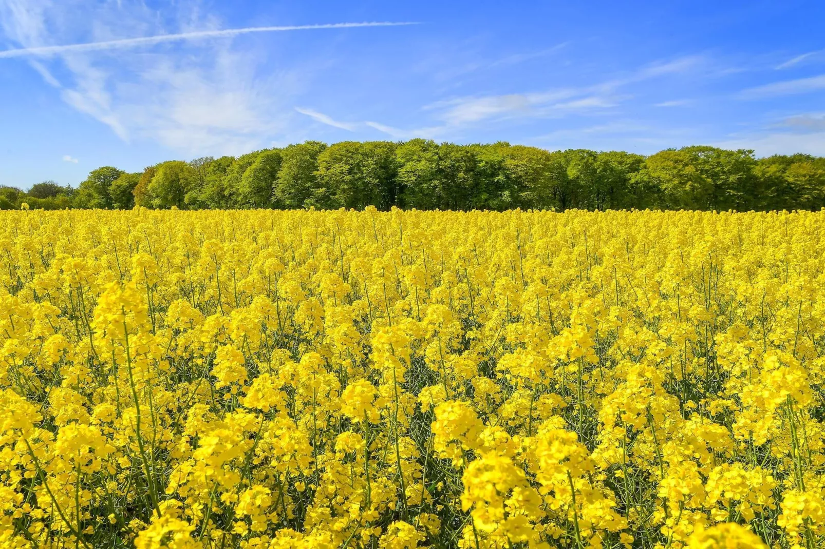 Maison de vacances pour 5 a Sæby-By Traum-Non tagué