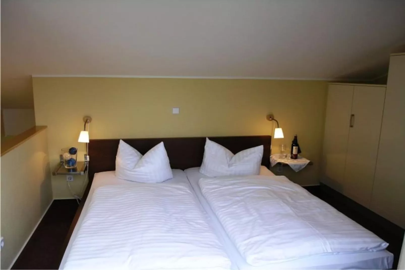 Eisvogel Classic 303