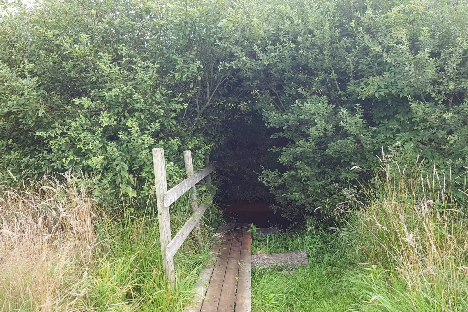 Maison de vacances pour 8 a Oksbøl-Non tagué