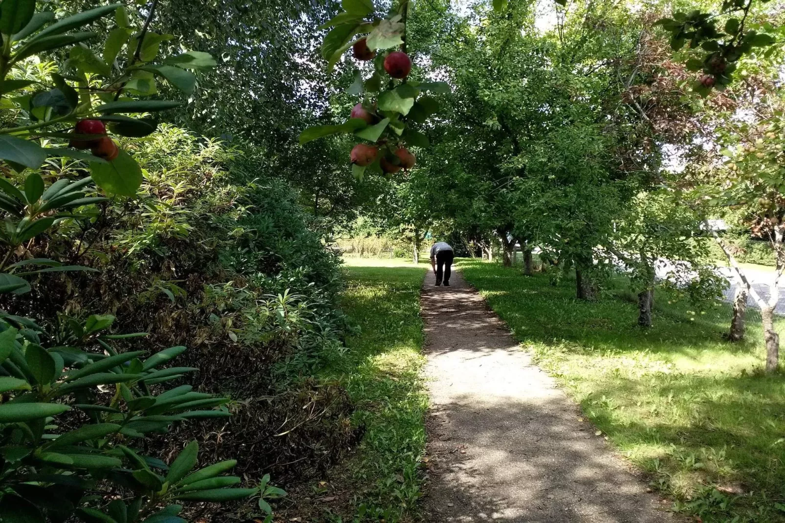 Maison de vacances pour 5 a Sæby-By Traum-Non tagué