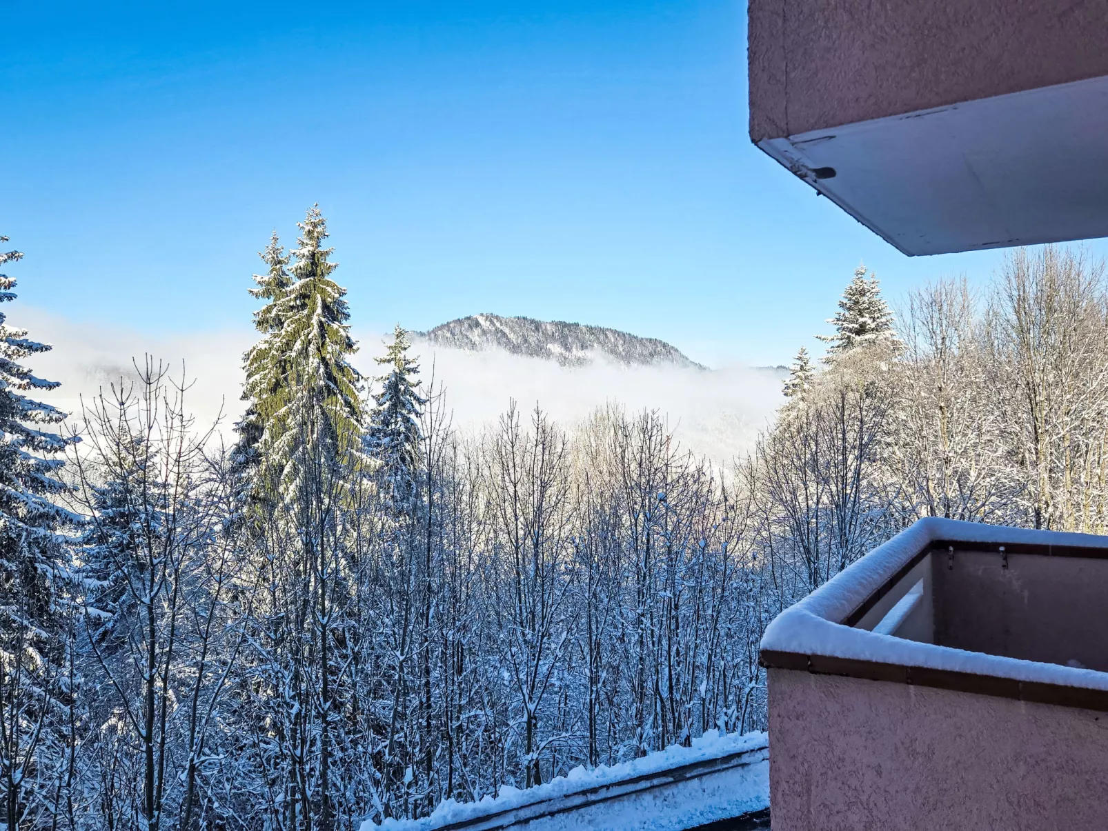 Résidence des Montagnes-Area