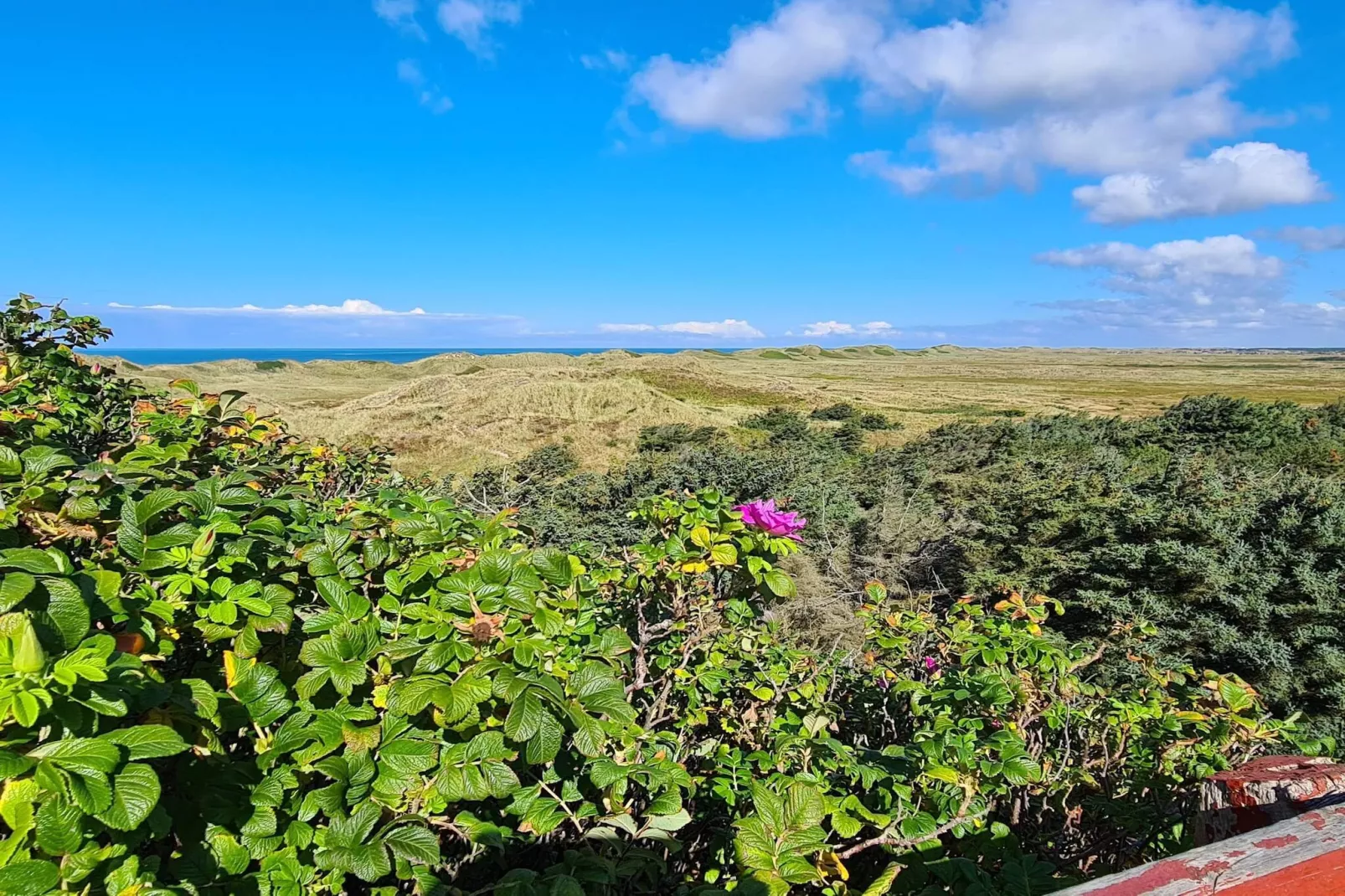 Stunning View in Storebaelt - By Traum Ferienwohnungen-Untagged