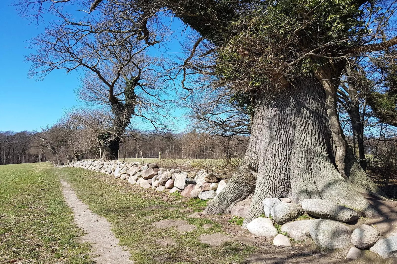 4 person holiday home in Vordingborg-By Traum-Untagged