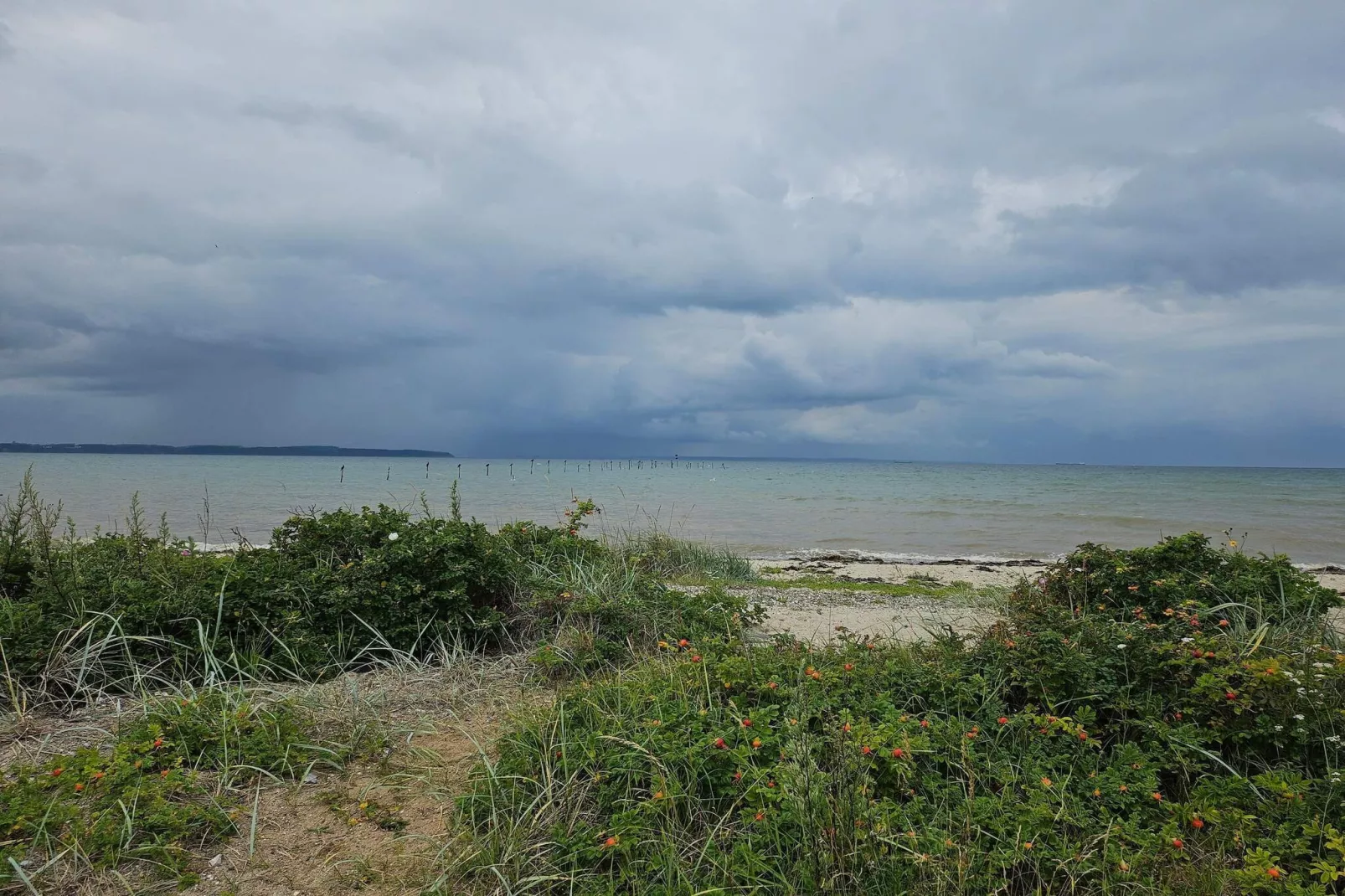 6 person holiday home in Brenderup Fyn-By Traum-Water view