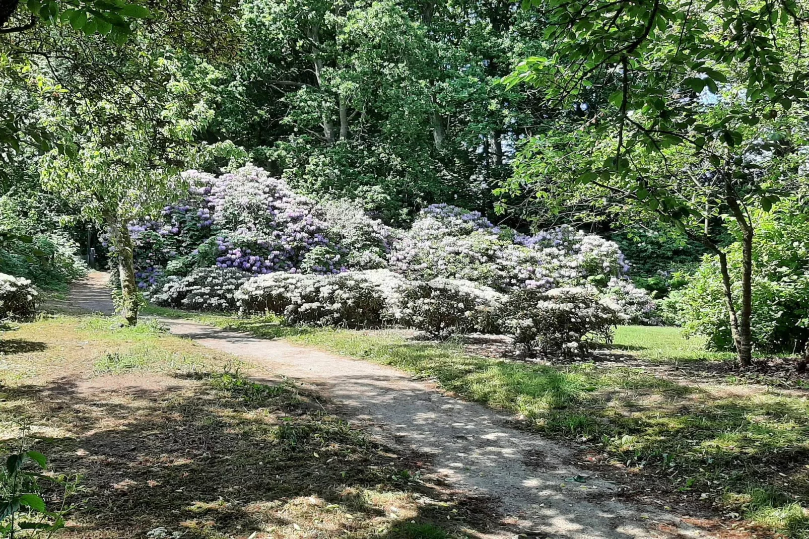 Maison de vacances pour 5 a Sæby-By Traum-Non tagué