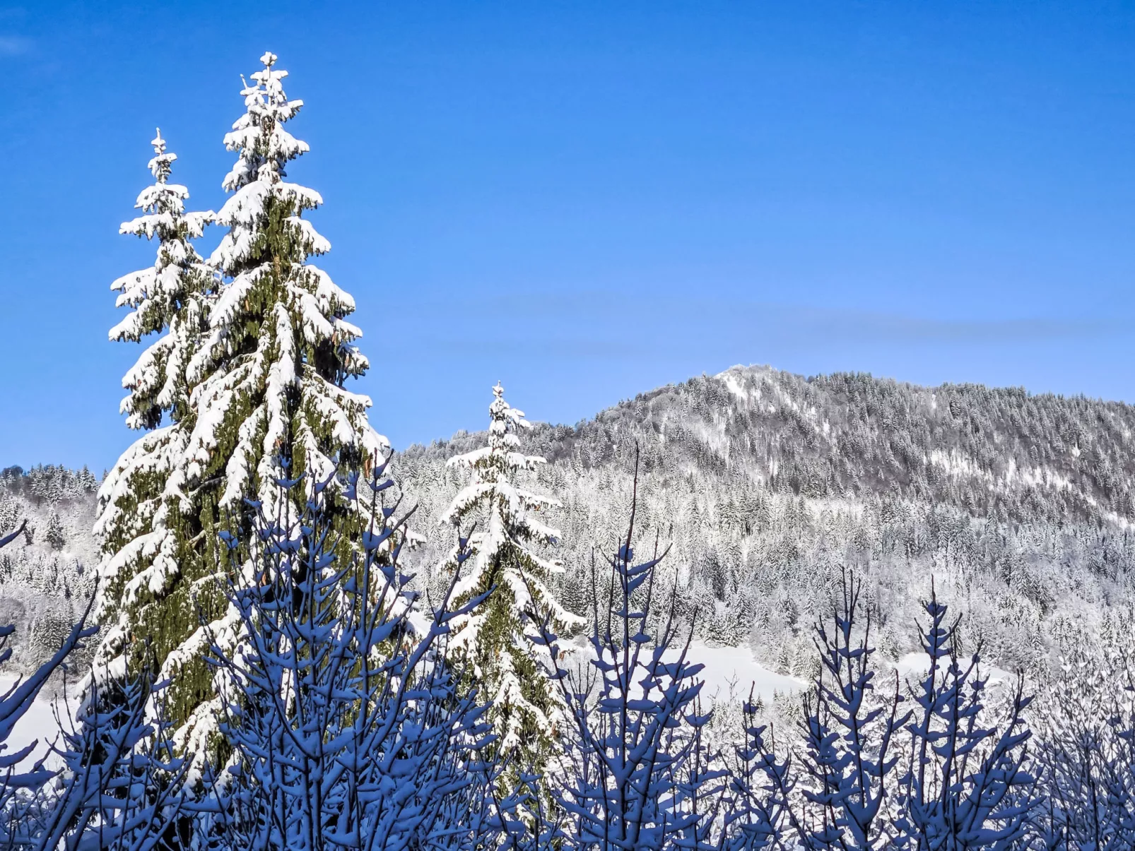 Résidence des Montagnes-Area
