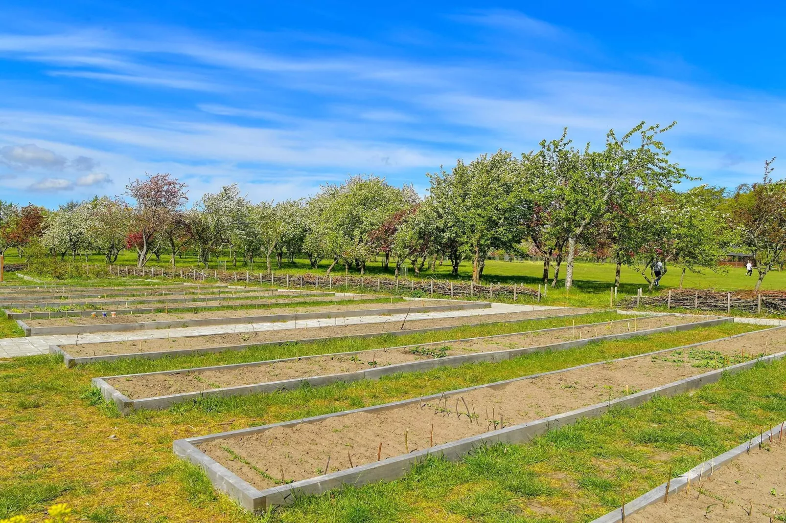 Maison de vacances pour 5 a Sæby-By Traum-Non tagué