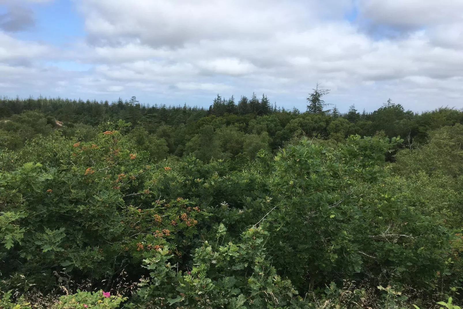 Gemutliche Blockhutte Ruckzugsort-By Traum-Nicht zugeordnet