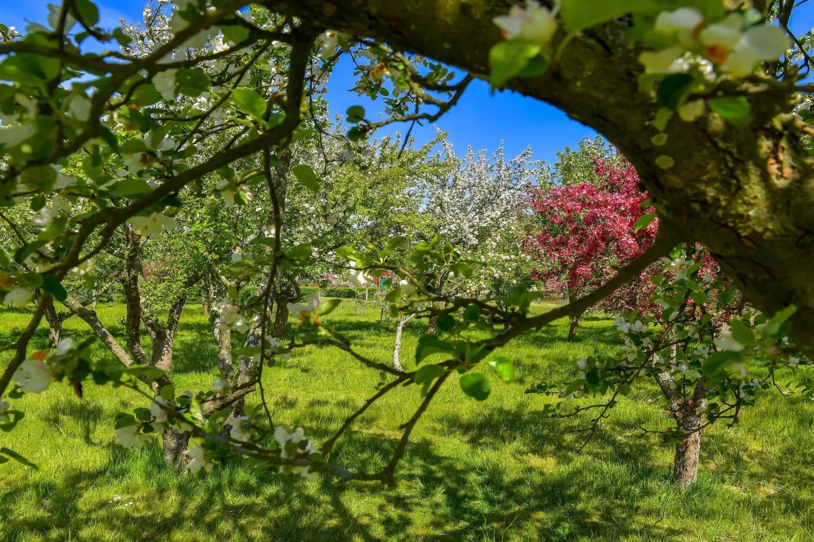 Maison de vacances pour 5 a Sæby-By Traum-Non tagué