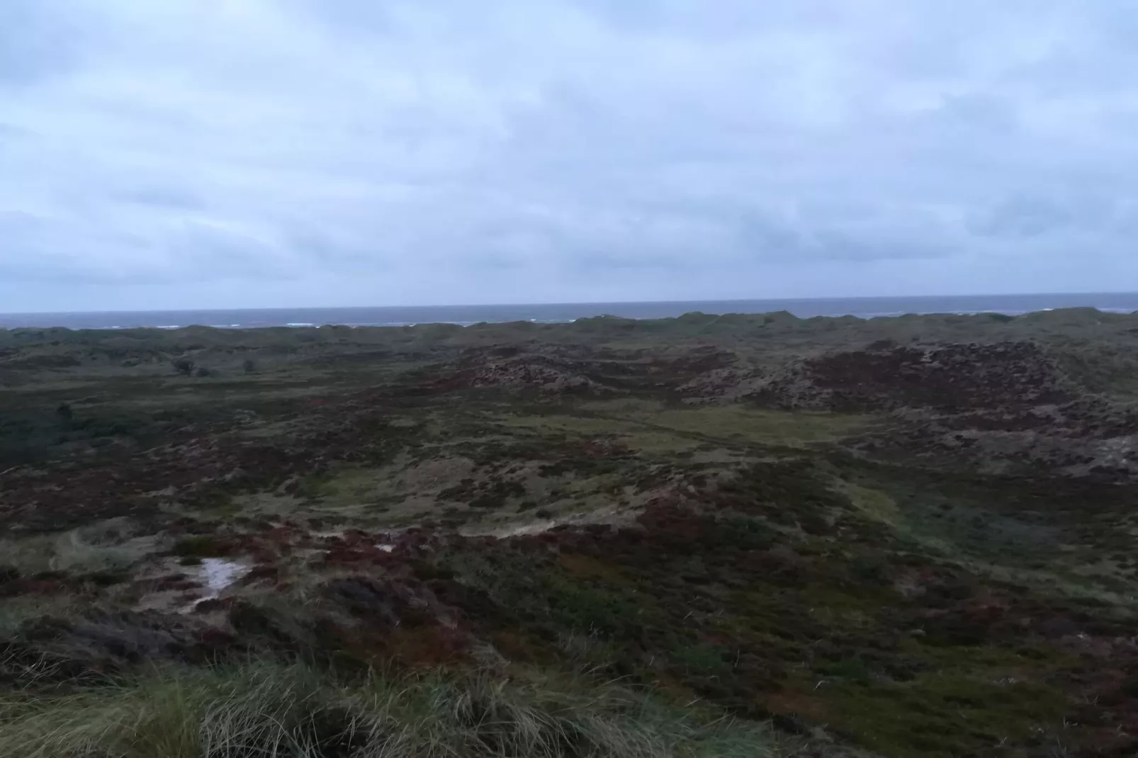 Maison de vacances pour 8 a Oksbøl-Non tagué